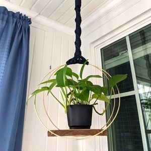 Double Brass Hoops plant hanger w / Wood Base